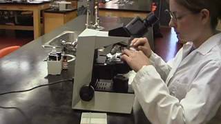 Part 5 How to Use Stereo and Compound Microscopes [upl. by Arihsan]