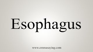 How To Say Esophagus [upl. by Ssegrub]