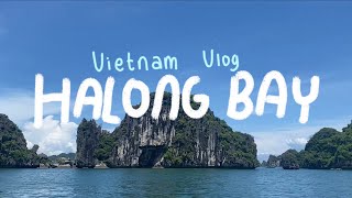 HALONG BAY ONE DAY VLOG  🇻🇳 [upl. by Tomasz949]