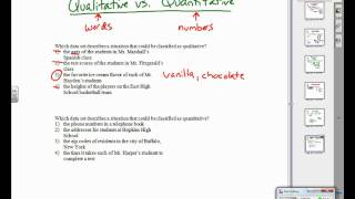 Qualitative vs Quantitativewmv [upl. by Obocaj272]