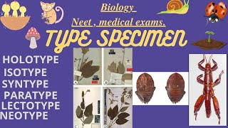 What is Type specimen in biology [upl. by Sankaran920]