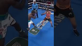 When a Boxer Refused to Knock Out His Opponent boxing lomachenko [upl. by Zenas]