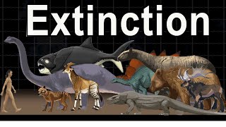 Top 100 extinct Animals Facing Extinction in 2024  Extinct [upl. by Peddada]