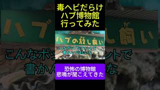 【沖縄】沖縄ワールドにあるハブ博物館がスリルありすぎて楽しかった 旅行 観光 お出かけ スポット 毒ヘビ 危険生物 危ない  生物 生き物 動物園 [upl. by Sessylu]