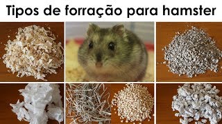 Tipos de forração para hamsters [upl. by Refinnej72]