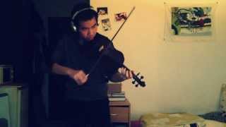 Because im stupid  Violin cover by Kaiser [upl. by Adlemy240]