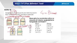 2022 YKS Sınav Soru Çözümü Biyoloji TYT [upl. by Nylassej]