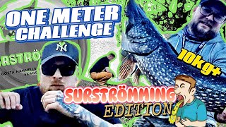 Metergädda challenge STRAFFISKE  Förlorarna måste äta SURSTRÖMMING 10kg GÄDDA [upl. by Isadore]