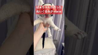 衝撃すぎてネイルにした（ばあちゃんらぶ🫰♡）セルフネイル おかば ジェル ネイル おしゃれネイル 猫 日常 ぬいぐるみ ネイルアート [upl. by Nami]