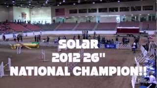 2012 AKC Nationals Mashup  SOLAR [upl. by Adnyleb]