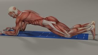 Can you handle the 8 Point Plank [upl. by Rabah605]