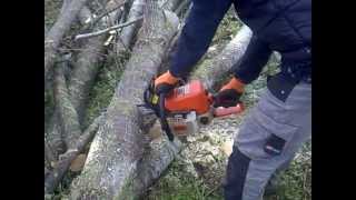 motosega stihl 023 in taglio pioppo [upl. by Delilah]