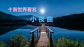 十首著名小夜曲 Ten Famous Serenades蕭邦Chopin Serenade海顿 Haydn布拉姆斯 Brahms【YouTube西洋音乐】西洋音乐古典音乐 [upl. by Yna163]