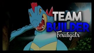 Feraligatr Team Builder Pokemon Heart Gold and Soul Silver [upl. by Chet707]