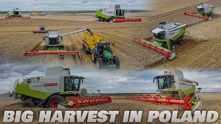 Big Harvest 2024 in Poland🌾Top Farms Wielkopolska 🌾 Agro Plus Grześkowiak [upl. by Rena741]