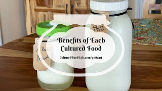 Podcast Episode 246 Benefits of Each Cultured Food [upl. by Aihsatal]