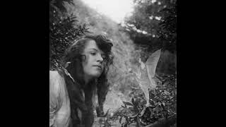 Cottingley Faeries Photos cottingleyfaeries faeries shorts [upl. by Corso816]