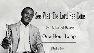 TIMOTHY CLASS TKH  SEE WHAT THE LORD HAS DONE  NATHANIEL BASSEY COVER [upl. by Esorbma]