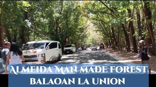 Almeida Man Made Forest BoholLike Balaoan La Union viral viralvideo trending trend tourism [upl. by Aynnat]