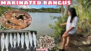 CATCHING MILKFISH  GUMAWA AKO NG MARINATED BANGUS [upl. by Garratt910]