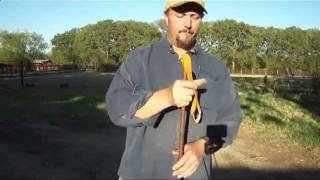 Stickshot slingshot shooting single band shooter for survivalists [upl. by Coulter337]