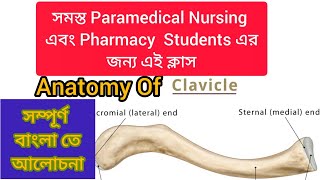 Anatomy Of Clavicle In Bengali For All Paramedical Nursing amp Pharmacy Students [upl. by Cimah]