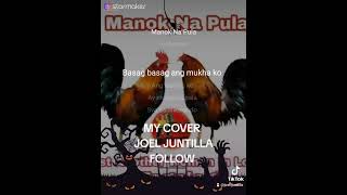 MANOK NA PULA covered by Joel Juntilla [upl. by Ibot]