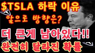 TSLA 주가 하락 이유 더 큰게 남아있다 앞으로 방향은 완전히 달라진 확률  테슬라 투자  Tesla 주가  미국 증시  나스닥 [upl. by Adnilym]