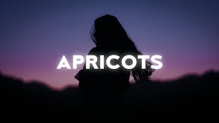 MAYA  Apricots Lyrics [upl. by Gagliano]