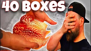 THE ULTIMATE UNBOXING 40 📦 OF ONEOFA KIND RARE TROPICAL FISH 🔥🔥 [upl. by Awahsoj]