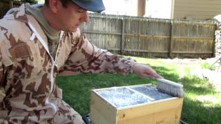 Powdered sugar mite treatment for my new bees [upl. by Churchill]