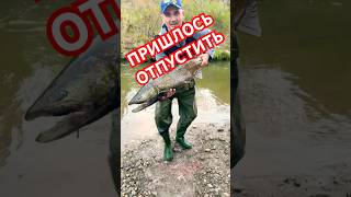 РЫБНАДЗОР 😂😂😂 рыбалка fishing прикол funnyvideo like [upl. by Loredo]