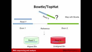 RNASeq Alignment and Visualization [upl. by Giltzow]