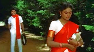 Sindhura Puvva Song  Nirosha Ramki Evergreen Superhit Video Song  Sindhoora Puvvu Telugu Movie [upl. by Kacerek]