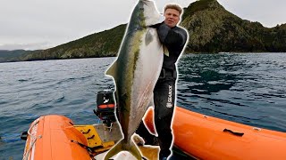 Spearfishing GIANT Yellowtail Kingfish New Zealand Fillet Smokeup [upl. by Ardnas100]