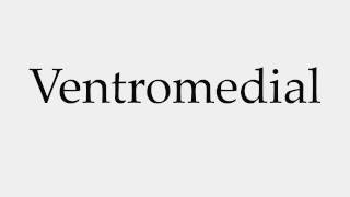 How to Pronounce Ventromedial [upl. by Seko]