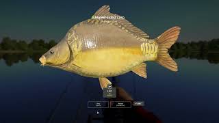 Amber lake Russian Fishing 4 297 mjplay rf4 spot [upl. by Ehctav]