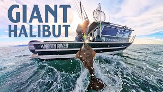 Giant Halibut Battle Near Seldovia Alaska  Monster Fish [upl. by Eseila]