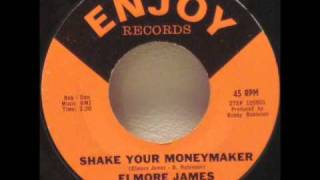 Elmore James  Shake Your Money Maker Lyrics [upl. by Allyn]