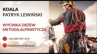 Wycinka drzew metodą alpinistyczną Legionowo Arborysta [upl. by Anema676]