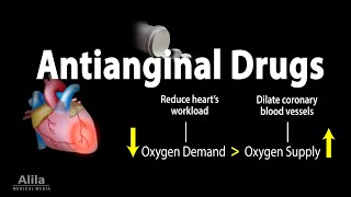 Pharmacology Antianginal Drugs Animation [upl. by Ijies190]