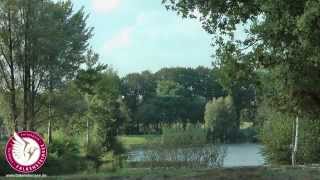 Falkensteinsee Camping amp Ferienpark Imagefilm HD [upl. by Rozek426]