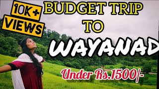 Budget Trip to Wayanadவயநாட்டுக்கு பட்ஜெட் பயணம்Under Rs1500Travel blogபயண வலைப்பதிவு Tamil [upl. by Hayne]