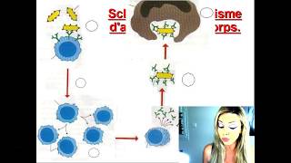 Révision Brevet SVT Système Immunitaire  Partie quotRisque infectieux et protection de lorganismequot [upl. by Mamie559]