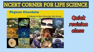 Chordata phylum Animalkingdom ncert line by line phylum chordata Target NEET2024 NcertBiology 🔥🔥 [upl. by Rumilly]