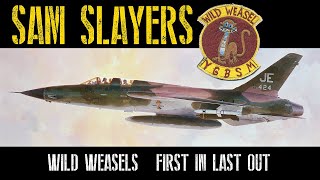 F105 Wild Weasels in Vietnam Leo Thorsness Medal of Honor [upl. by Golter]