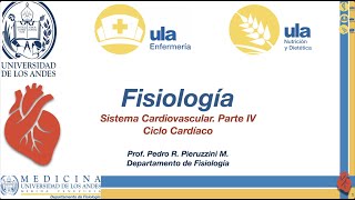 Volumen ventricular  Ciclo cardiaco [upl. by Jacobs323]