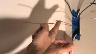 How to connect ground wires crimping the wires together [upl. by Halilahk]