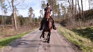 Cavallo Hoof Boots STAY ON  Even Going 65 kmhr [upl. by Westleigh]