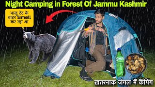 भालू रात को Tent को Smell कर रहा था Wild Night Camping in Indias Dangerous Forest of Jammu Kashmir [upl. by Aray413]